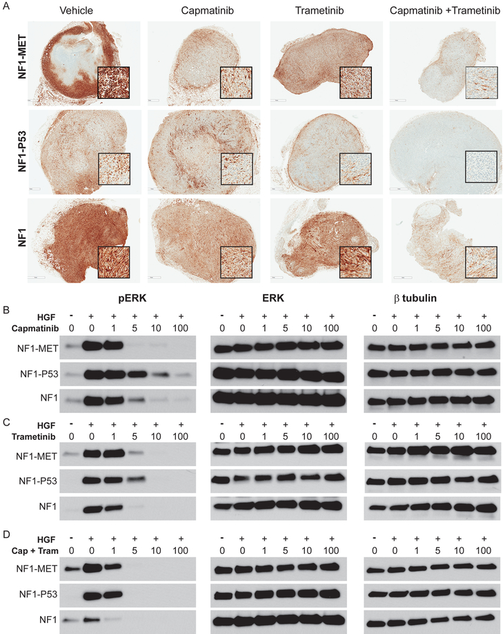 Figure 6: