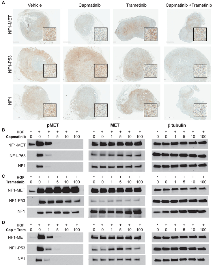 Figure 5: