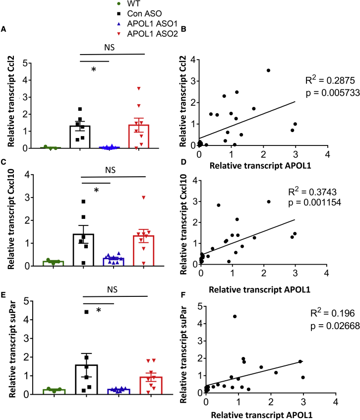 Figure 6