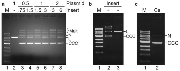 Fig. 5