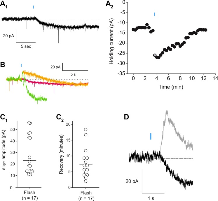 Fig. 4.