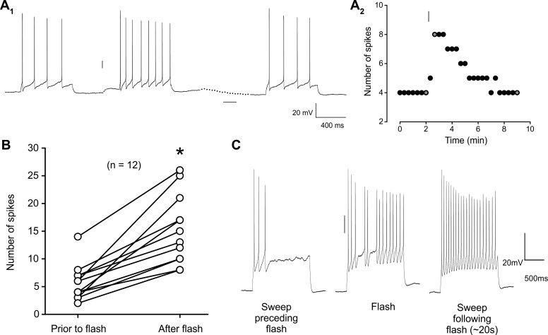 Fig. 3.