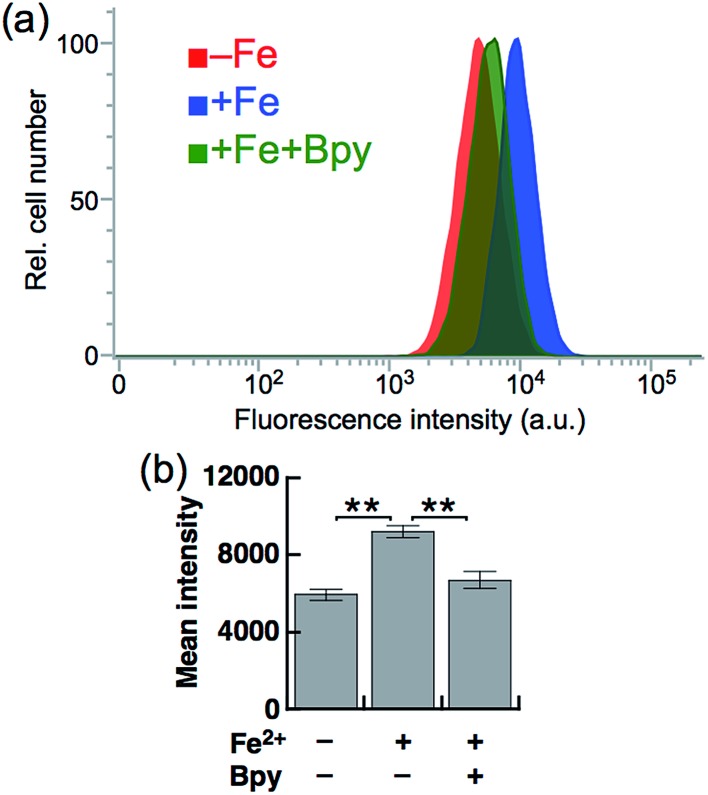 Fig. 4