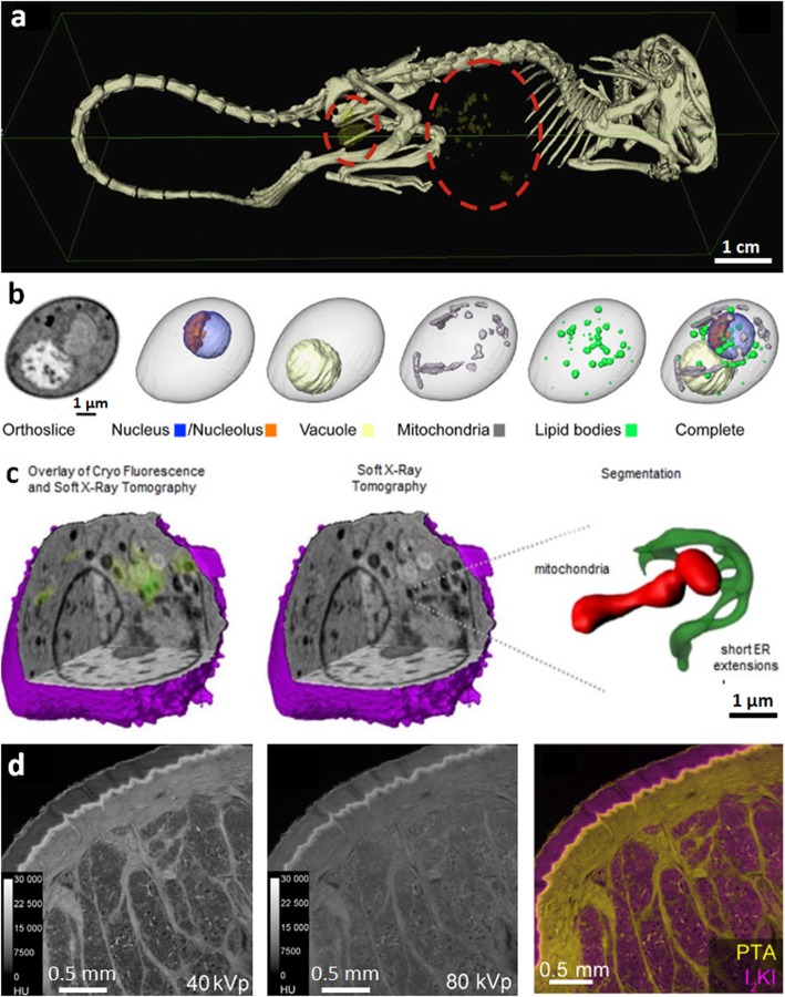 Fig. 4