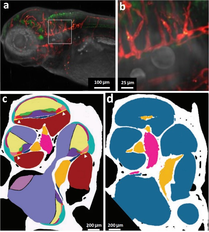 Fig. 7