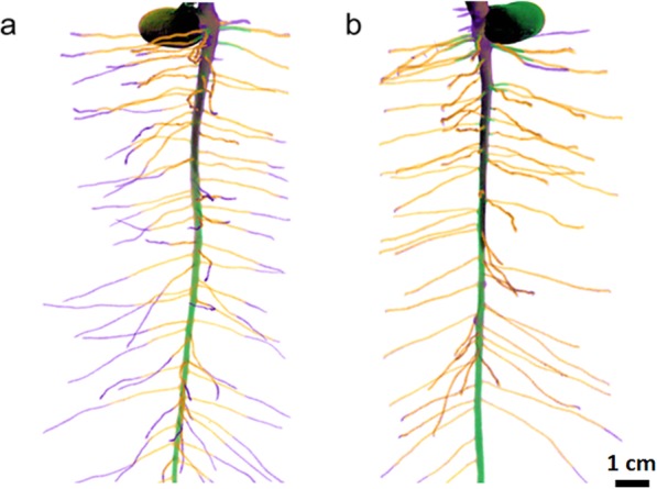 Fig. 9