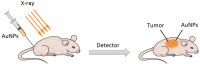 FIGURE 12