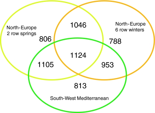 Fig. 2