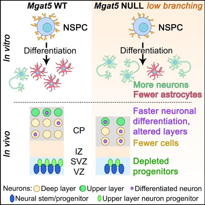 graphic file with name fx1.jpg