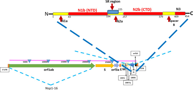 Fig. 3