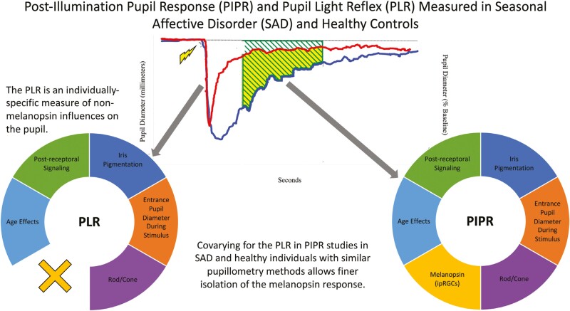 Graphical Abstract