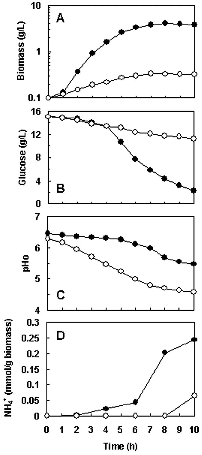 FIG. 5.