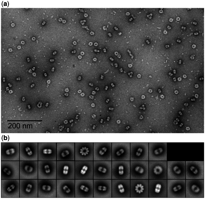 Figure 1.