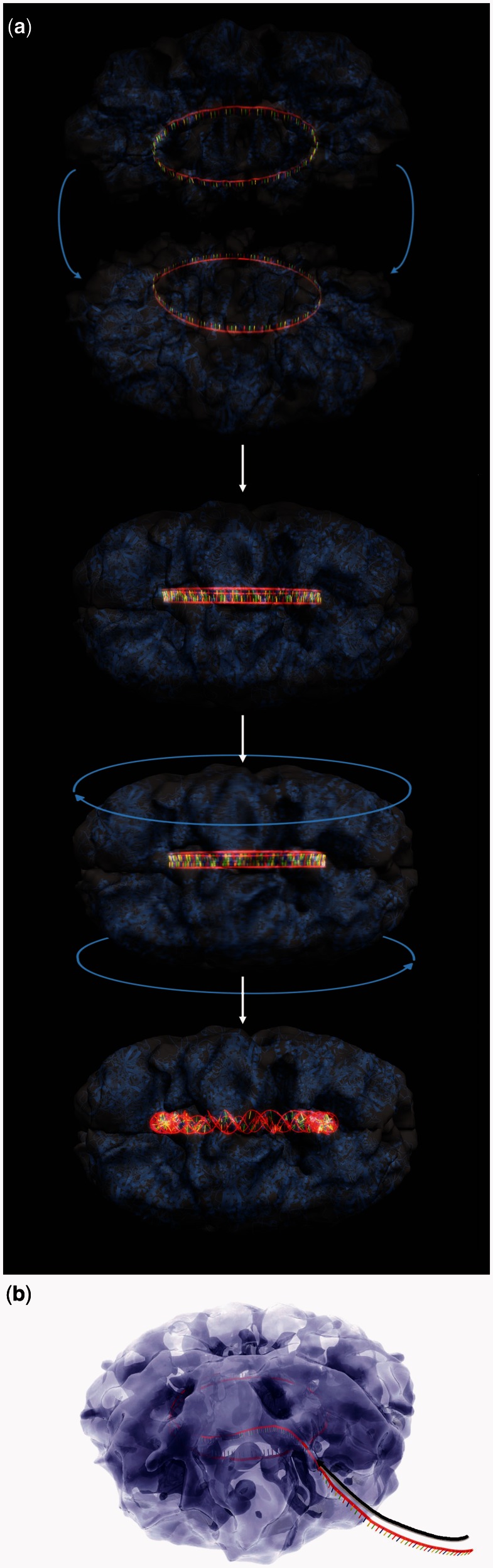 Figure 5.