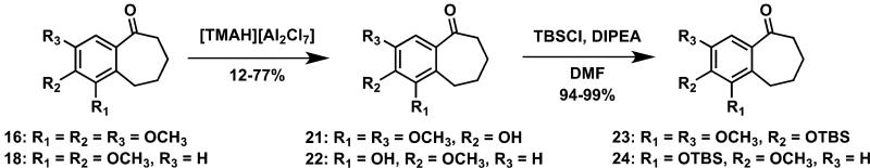 Scheme 2