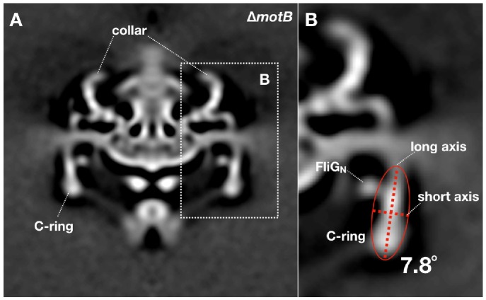 Figure 4—figure supplement 4.