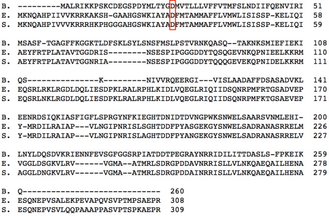 Figure 1—figure supplement 2.