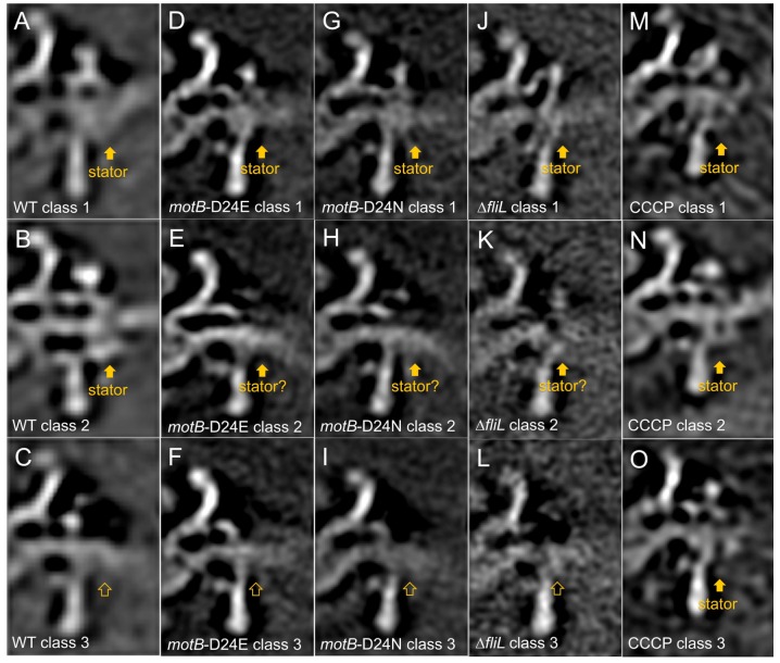 Figure 4—figure supplement 1.