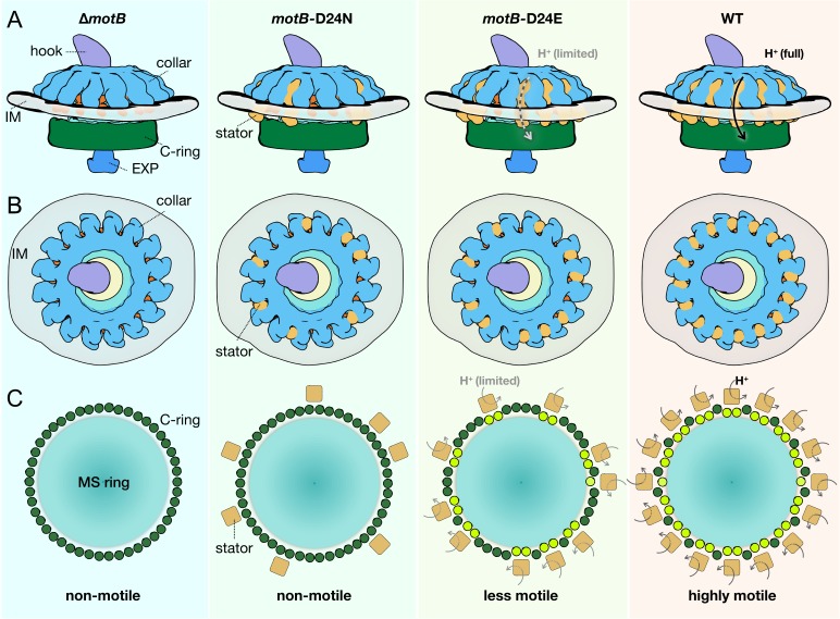 Figure 6.