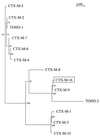 FIG. 3