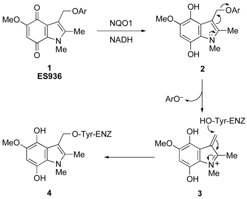 Scheme 1