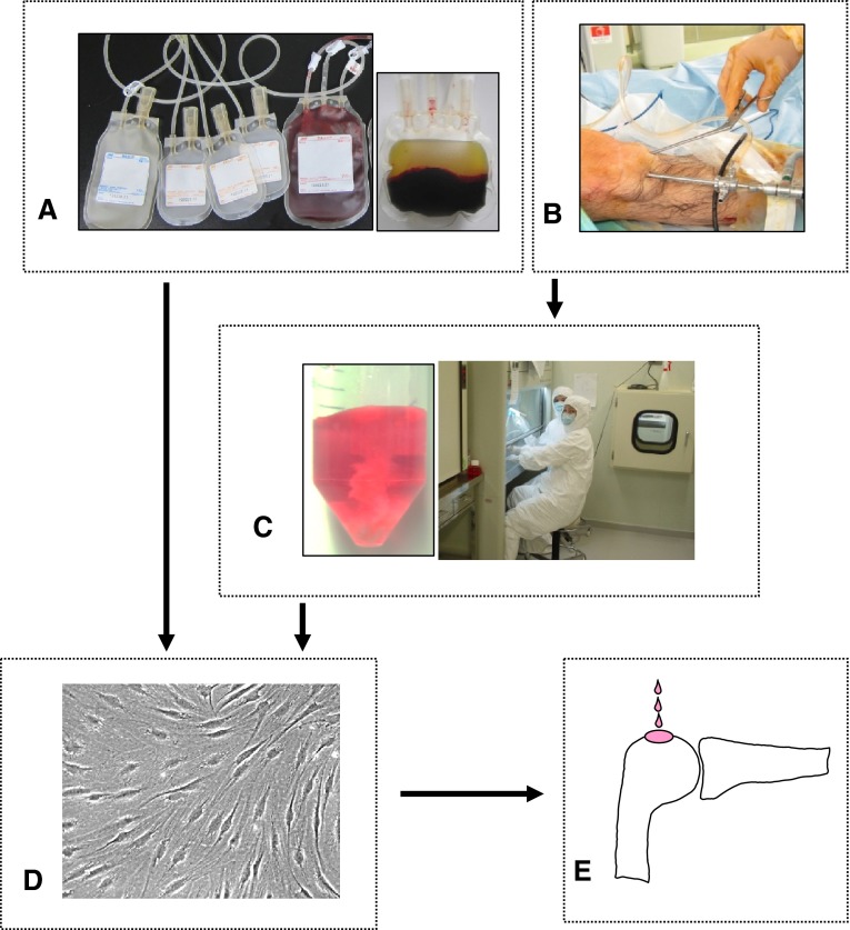 Fig. 1A–E