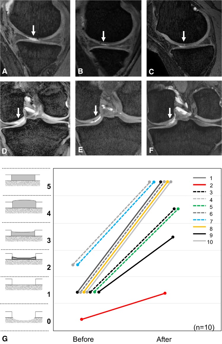 Fig. 3A–G