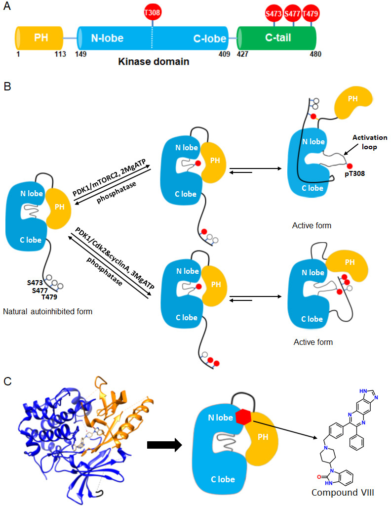 Figure 1.