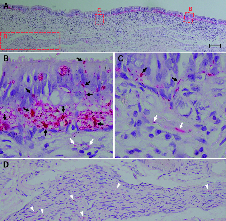 Fig. 4.