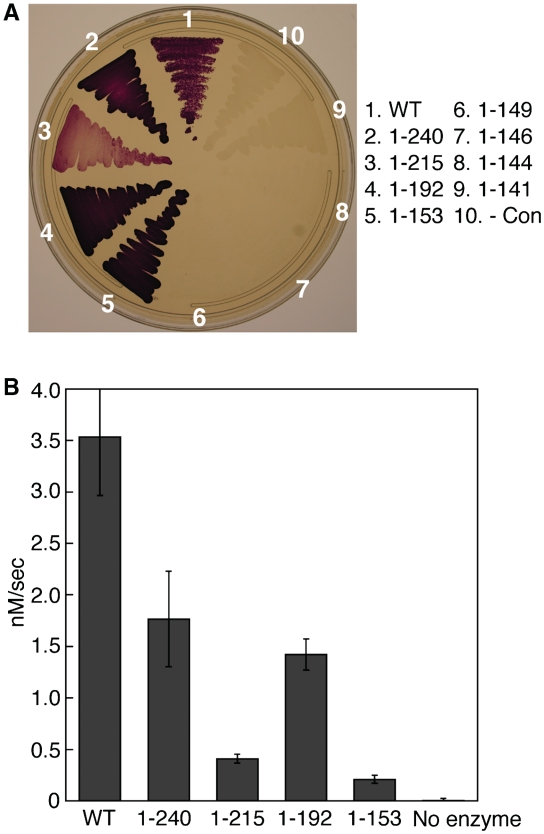 Figure 5.