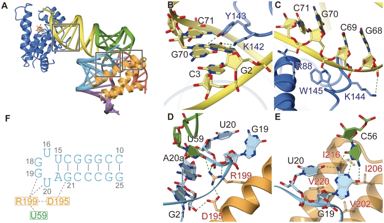 Figure 3.