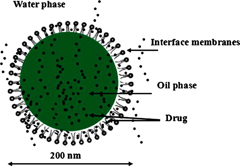 Fig. 2