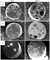 Fig. 8