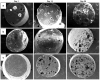 Fig. 13