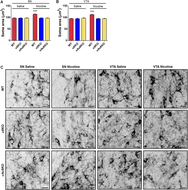 FIGURE 4