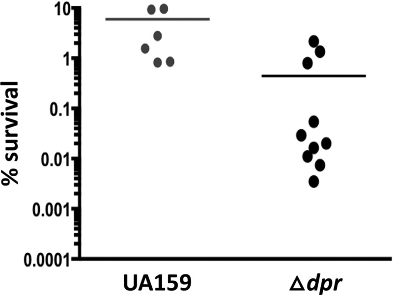 FIG 3