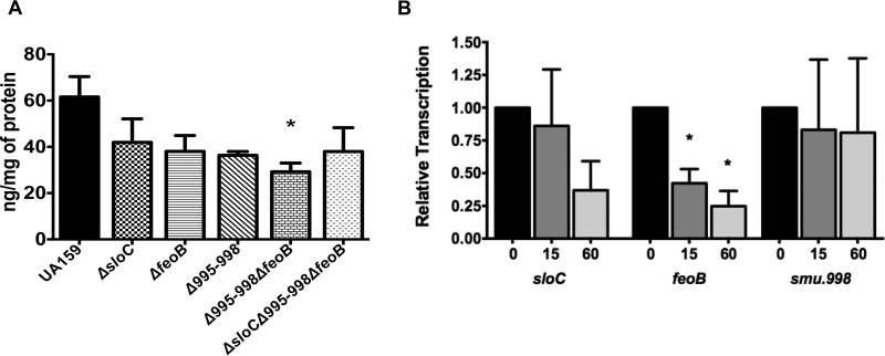 FIG 7