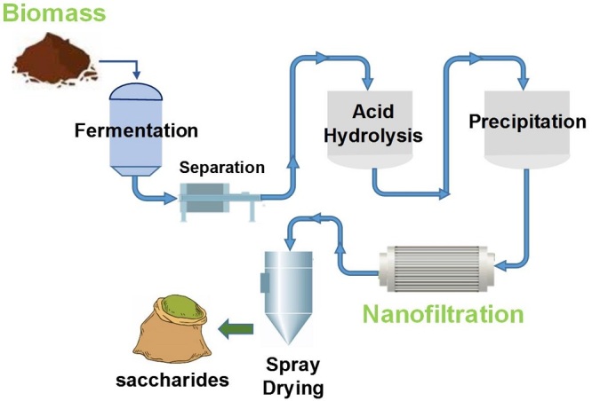 graphic file with name 11705_2020_2020_Fig1_HTML.jpg