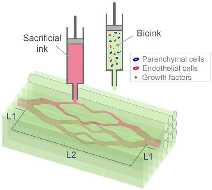 FIGURE 2