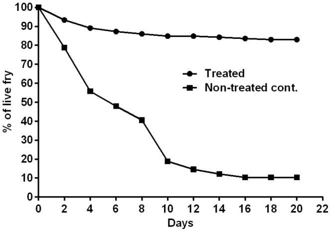 Figure 11