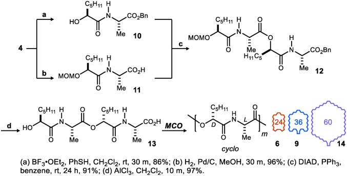 Scheme 2.