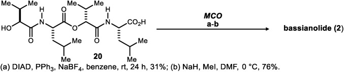 Scheme 3.