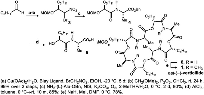 Scheme 1.