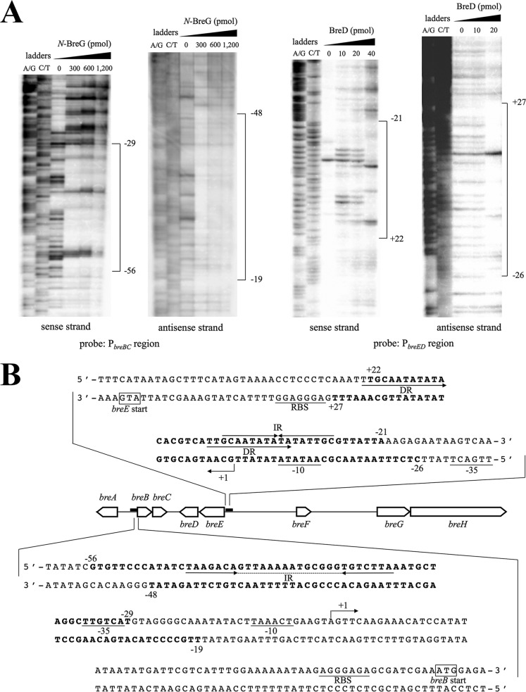 FIG 2