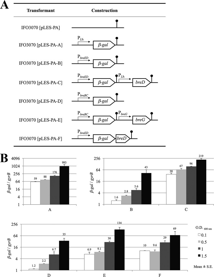 FIG 3