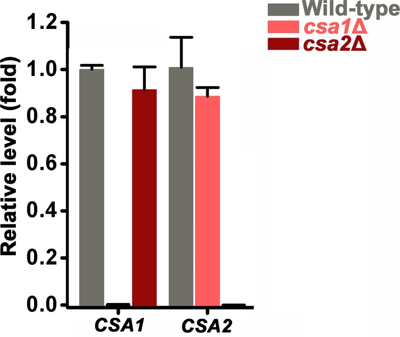 Figure 6—figure supplement 3.