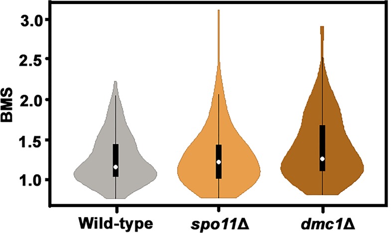 Figure 1—figure supplement 1.