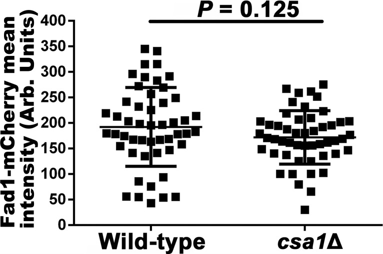 Figure 6—figure supplement 1.