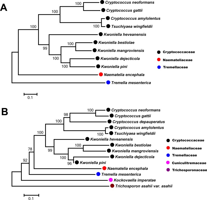 Figure 7—figure supplement 1.