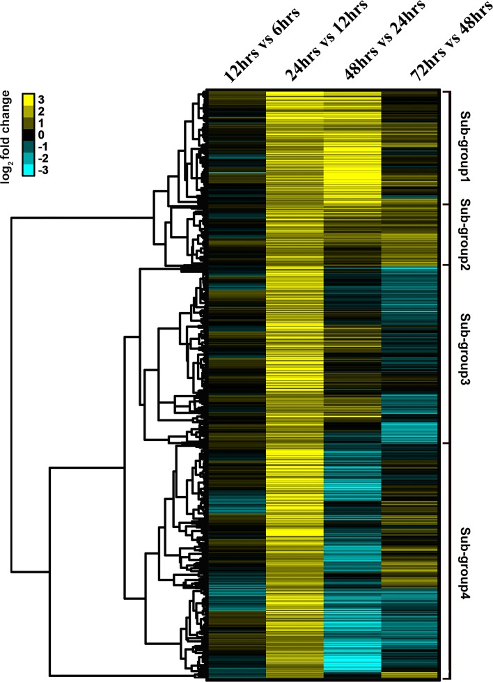 Figure 3—figure supplement 1.